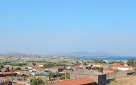 Andreas Studios